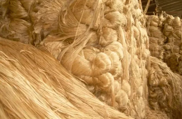 Raw Jute Fiber in hydraulic pressed bales – Indian natural golden jute